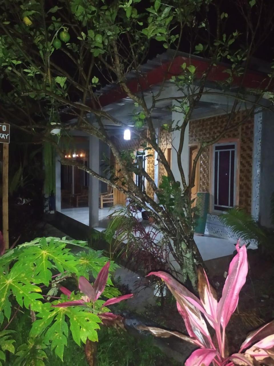 Eltari Homestay Тетебату Екстериор снимка